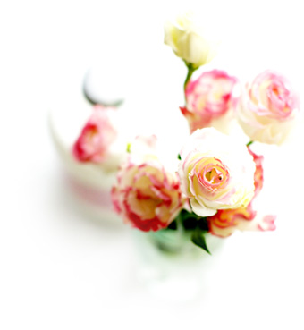 白とピンクのバラ